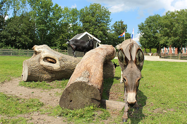 Faciliteiten van Camping Groningen Internationaal