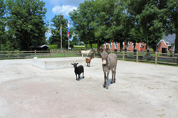 Faciliteiten van Camping Groningen Internationaal